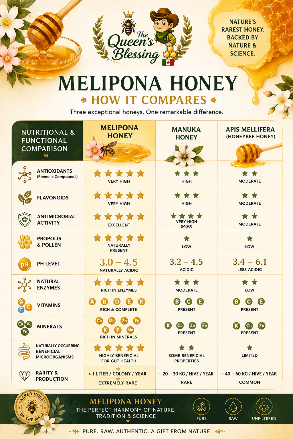 JIMERITO HONEY, MIEL MELIPONA DROPS, 10ML,100% PURE ORIGINAL HONEY FROM MEXICO!