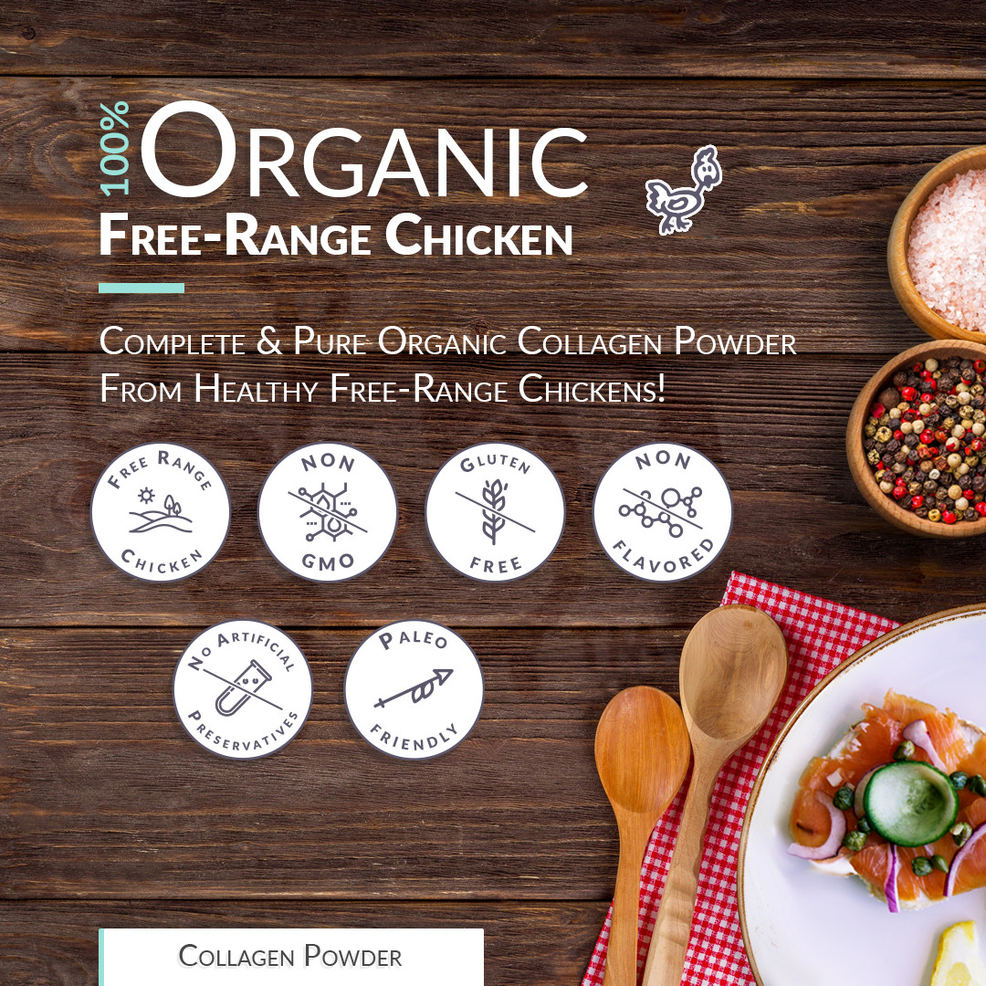 Chicken Bone Broth Collagen Powder – Pure & Organic – Free-Range (5lb / 2200g)
