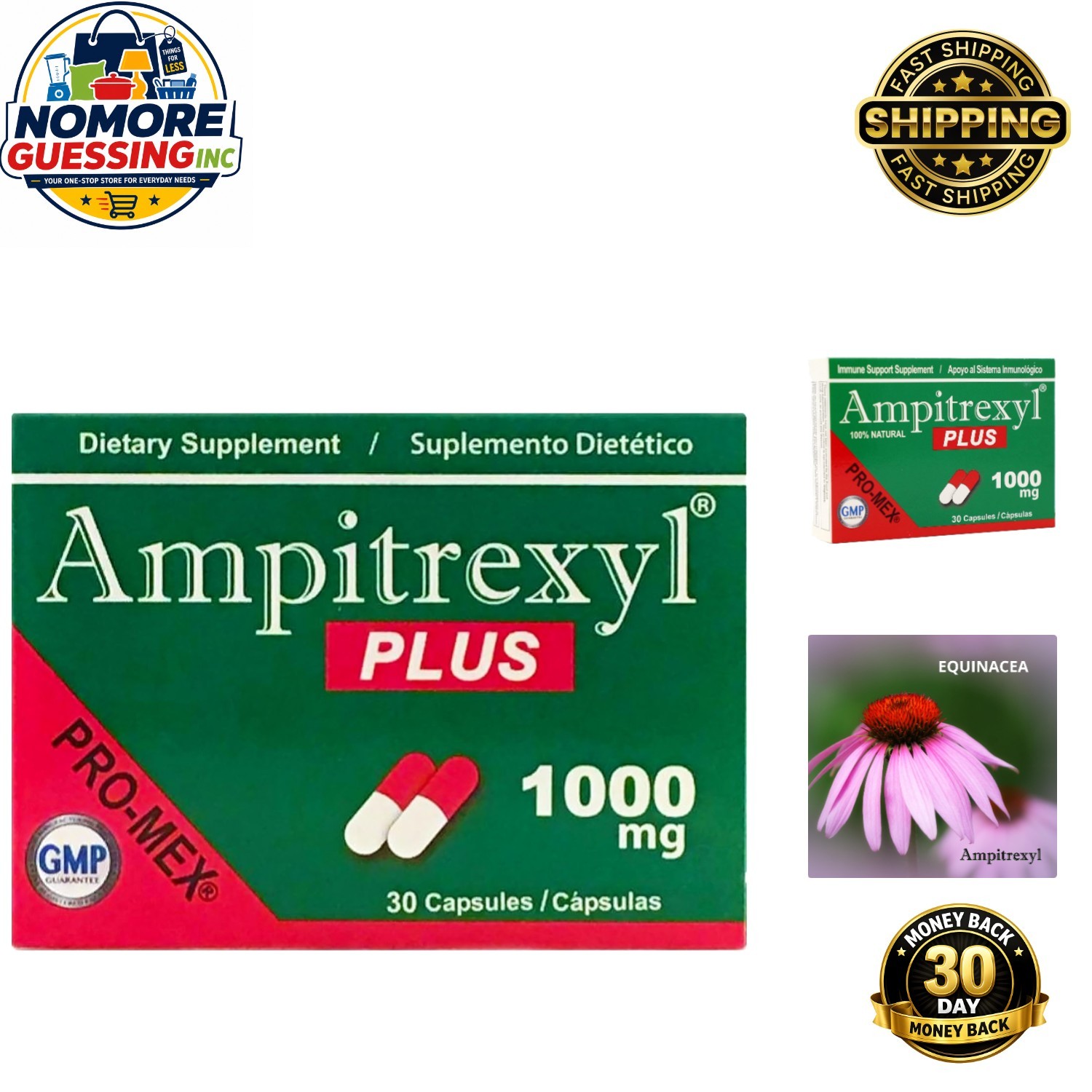 Promex Plus Antioxidant Capsules 1000 mg – Traditional Herbal Blend – 30 Count