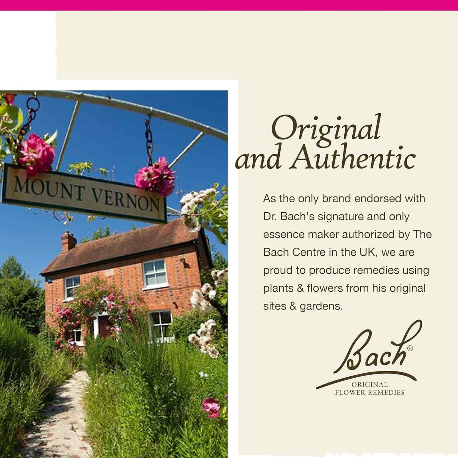 Bach Original Flower Remedies Elm, Be Efficient 0.7 fl. oz. (20mL)