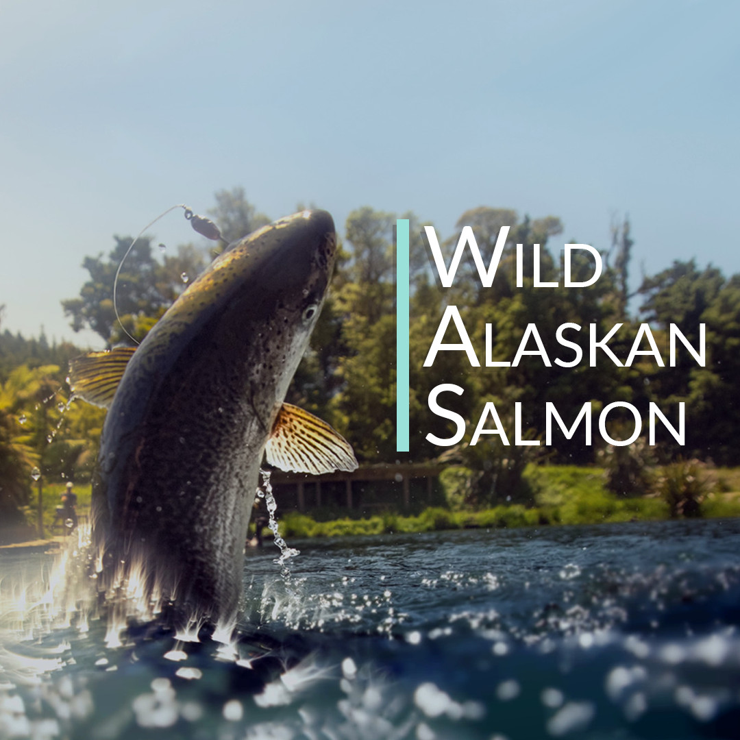 Wild Alaskan Salmon Bone Broth Powder – Pure Protein Organics 1LB Unflavored