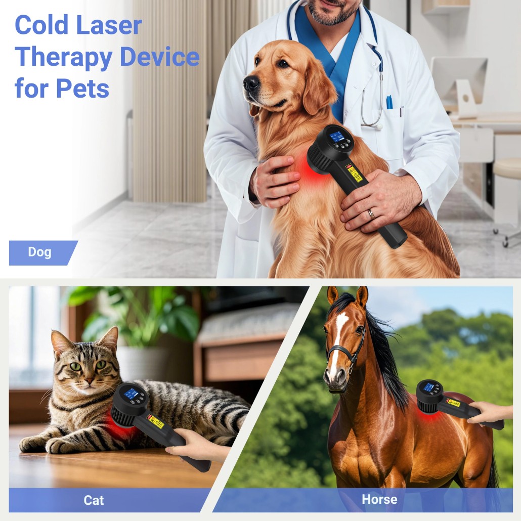 3000mW Cold Laser Therapy Device Pain Relief for Back Knee Shoulder Inflammation