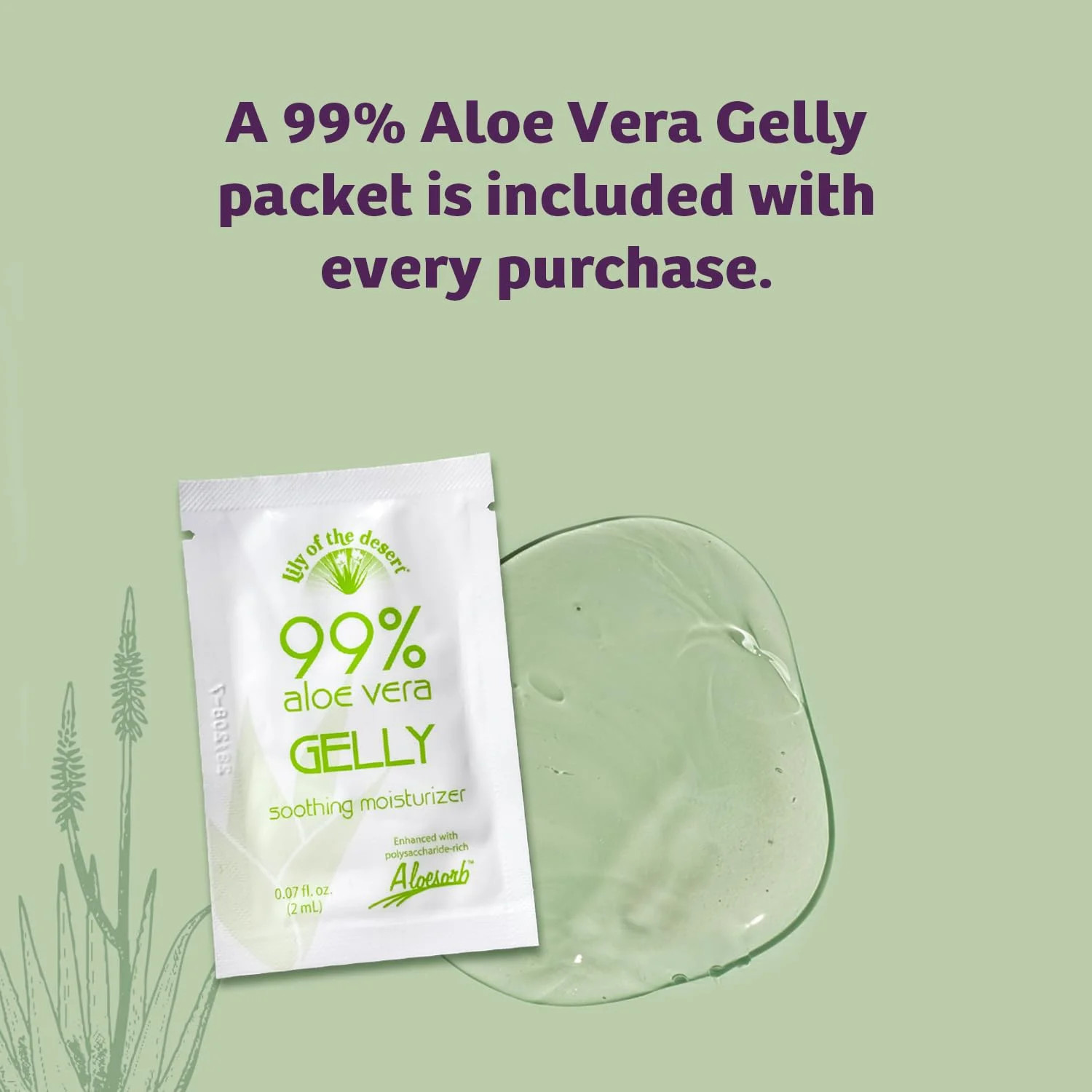 Lily Of The Desert Gelly Moisturizer – 99% Organic Aloe Vera Gel for Skin, After