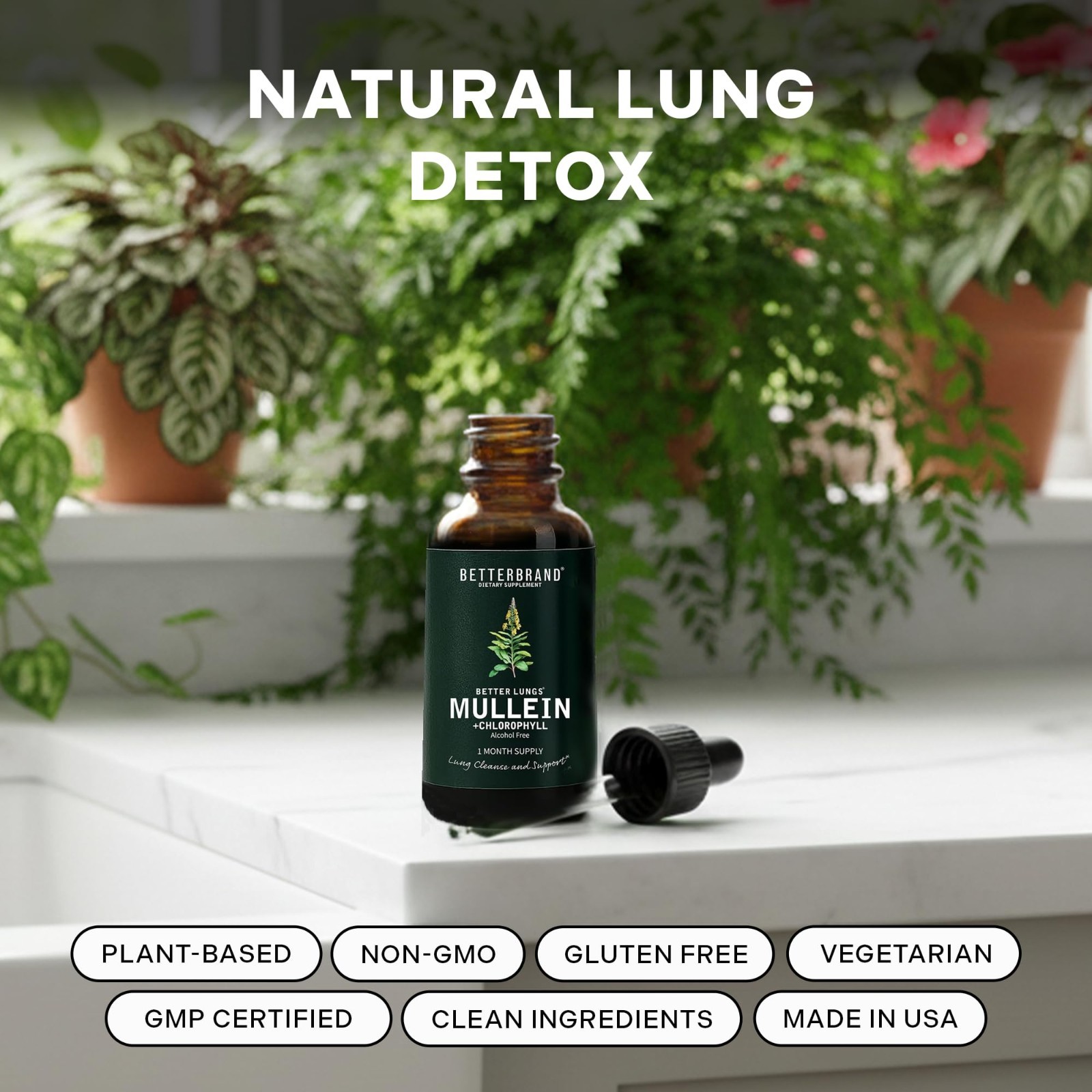 Mullein Leaf Tincture Drops – Lung Detox & Respiratory Support, Alcohol-Free, 1