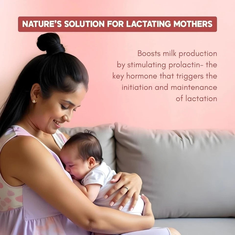 Shatavari ( Asparagus racemosus ) Natural Lactation Supplement for Breastfeeding