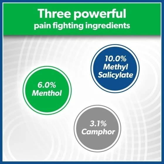 Salonpas Pain Relief Patch 20 Count 8 Hour Relief Camphor Menthol Back Muscle