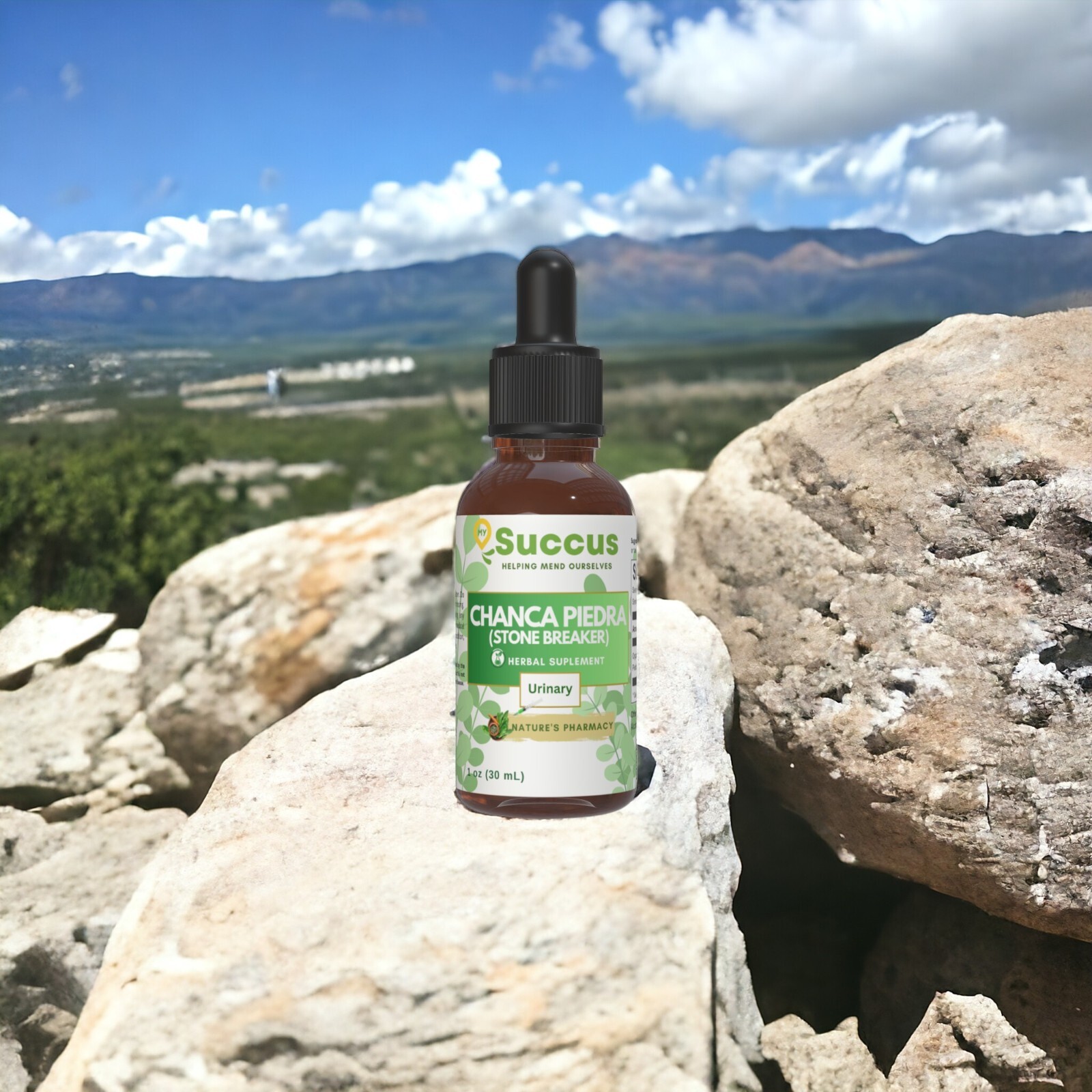 Chanca Piedra Tincture – Kidney, Liver and Bladder Health