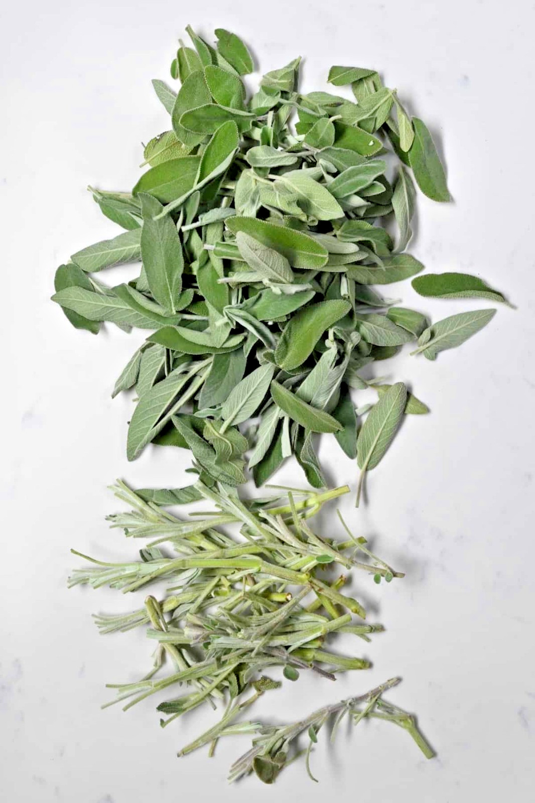 50gm || Natural organic dried sage leaves