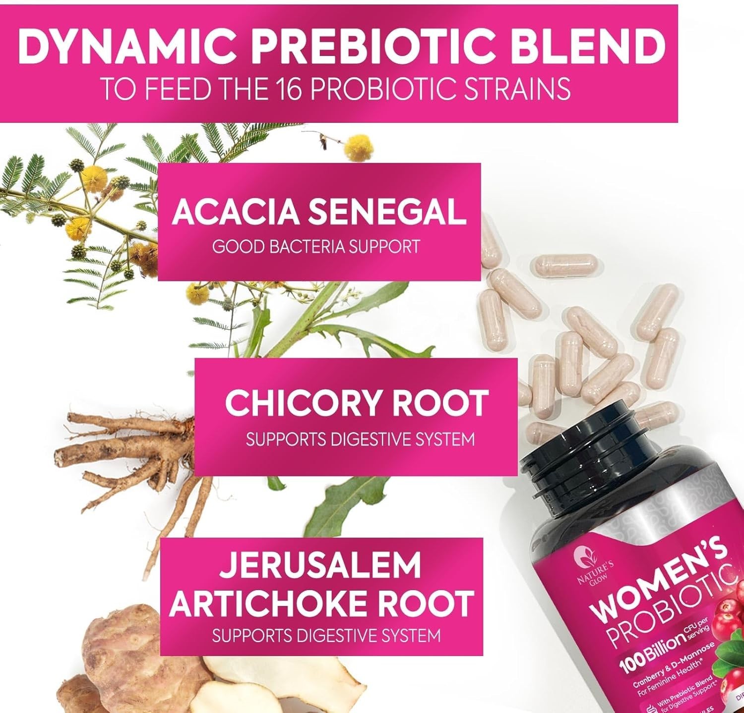 Probiotics for Women – for Digestive Health, Immune Support, & Vaginal Health