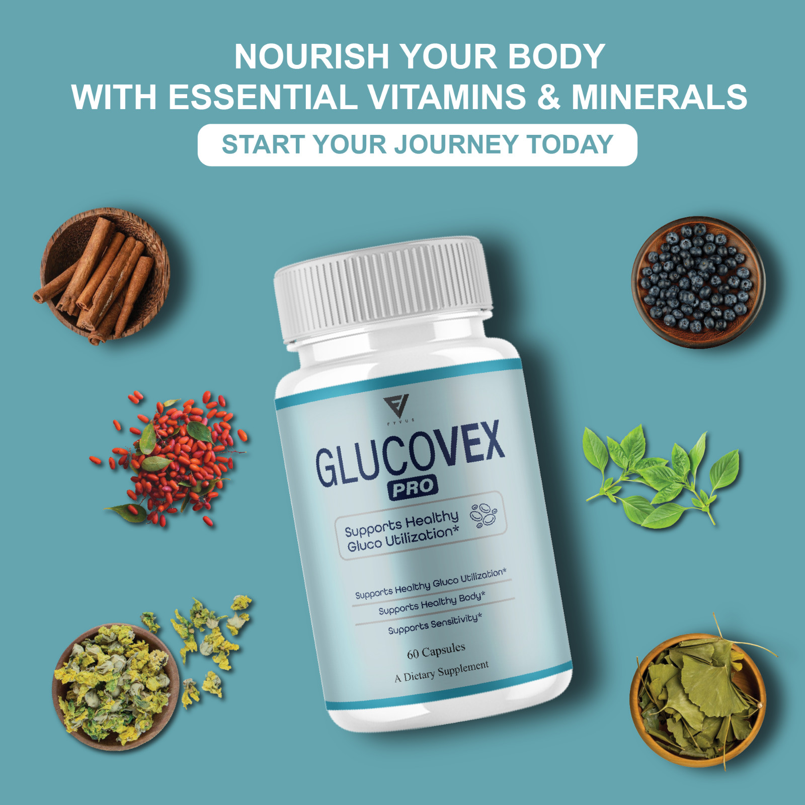 (2 Pack) Glucovex Pro Blood Support, Gluco Vex Supplement (120 Capsules)