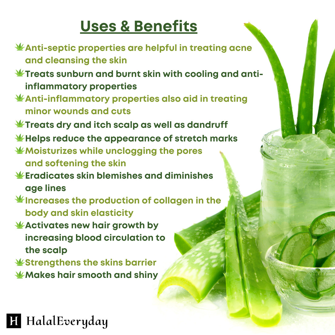 100% Pure Aloe Vera Gel – Organic Skin Care Soothing Moisturizing Cosmetic Grade