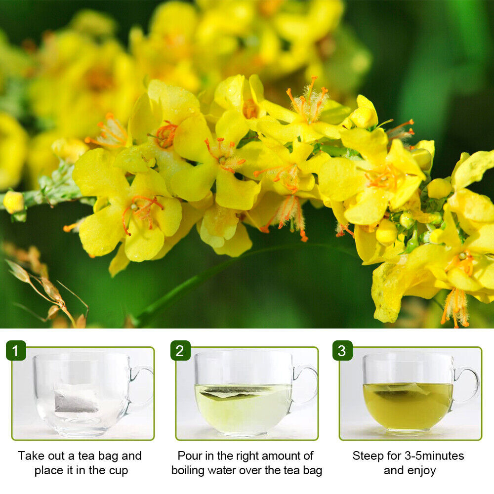 mullein leaf tea lung cleanse detox mullein leaf tea bags 60days