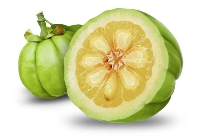 Weight Loss Garcinia Cambogia w/ Apple Cider Vinegar ACV Fat Burner Pills Diet