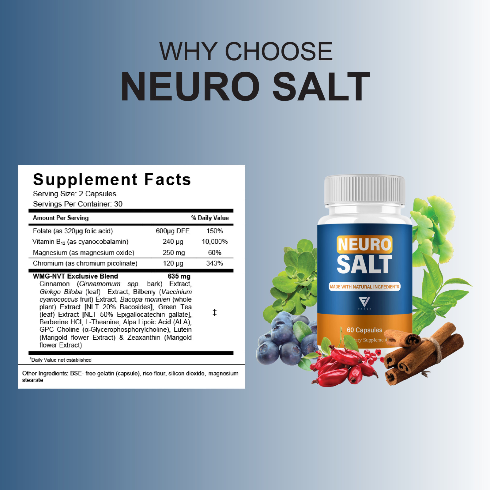 (5 Pack) Neuro Salt Capsules, Neuro Salt Nootropic Supplement (300 Capsules)
