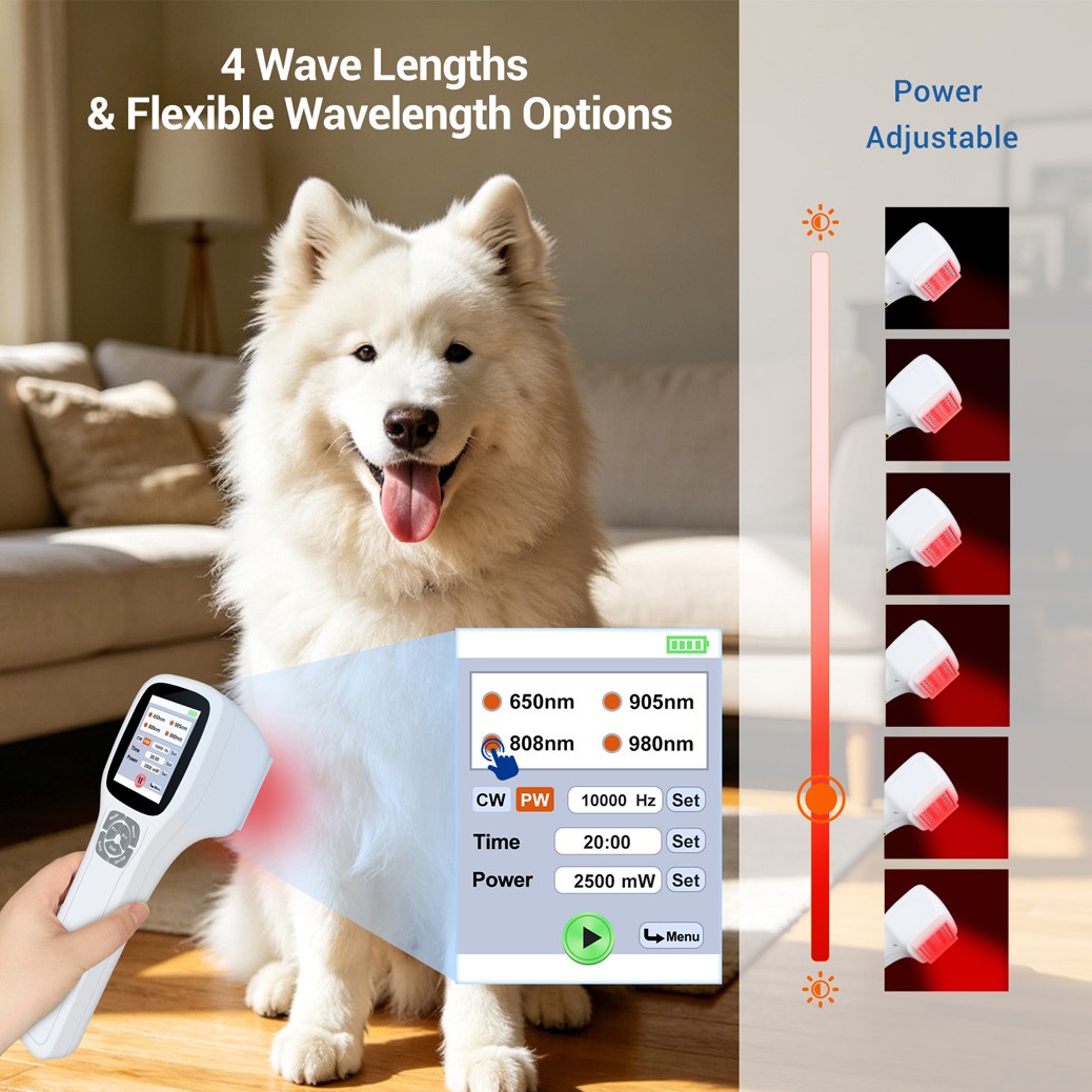2.5W Red Light Therapy Cold Laser LLLT Device 25Diodes for Arthritis Muscle Pain