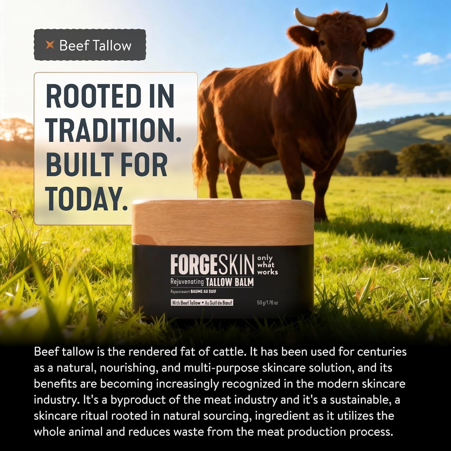 FORGE SKIN Men Face Tallow Balm 50g Beef Tallow Hydrating Cream (New Formula)