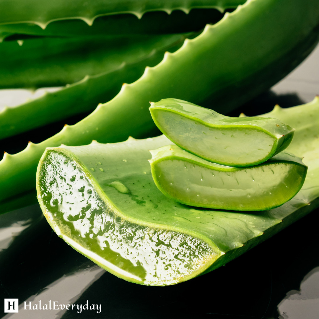 100% Pure Aloe Vera Gel – Organic Skin Care Soothing Moisturizing Cosmetic Grade