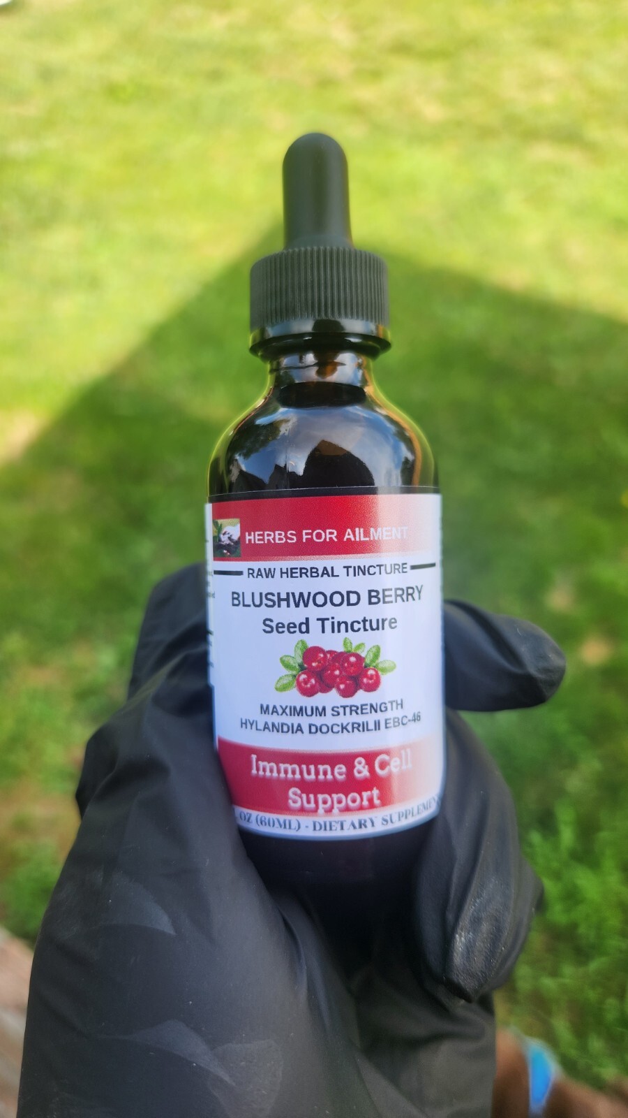 Blushwood Berry EBC46 Tincture/Immune/Cell Support/Oral/Topical/US SELLER
