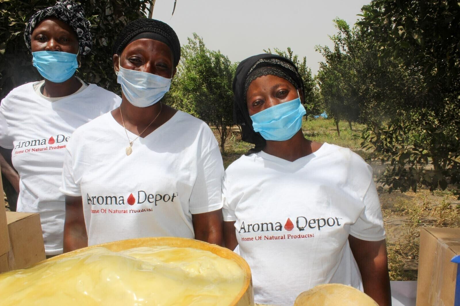 8oz Organic African Shea Butter Yellow Raw From GHANA Natural UNREFINED Pure