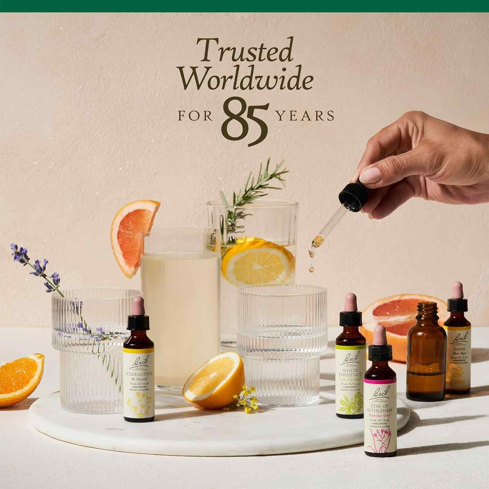 Bach Original Flower Remedies Centaury Be Assertive 0.7 fl oz 20mL