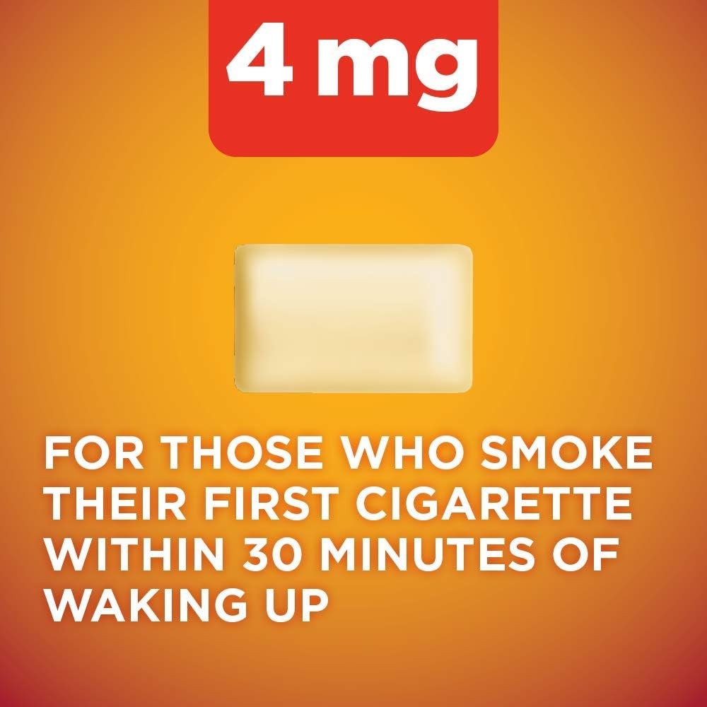 Amazon Basic Care Nicotine Polacrilex Coated Gum 4 mg (nicotine), Cinnamon Flavo