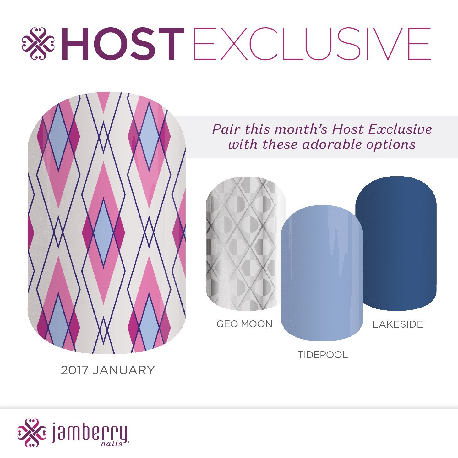Jamberry Nail Wraps HOST EXCLUSIVE DESIGNS Buyer Choice Full Sheets New Package