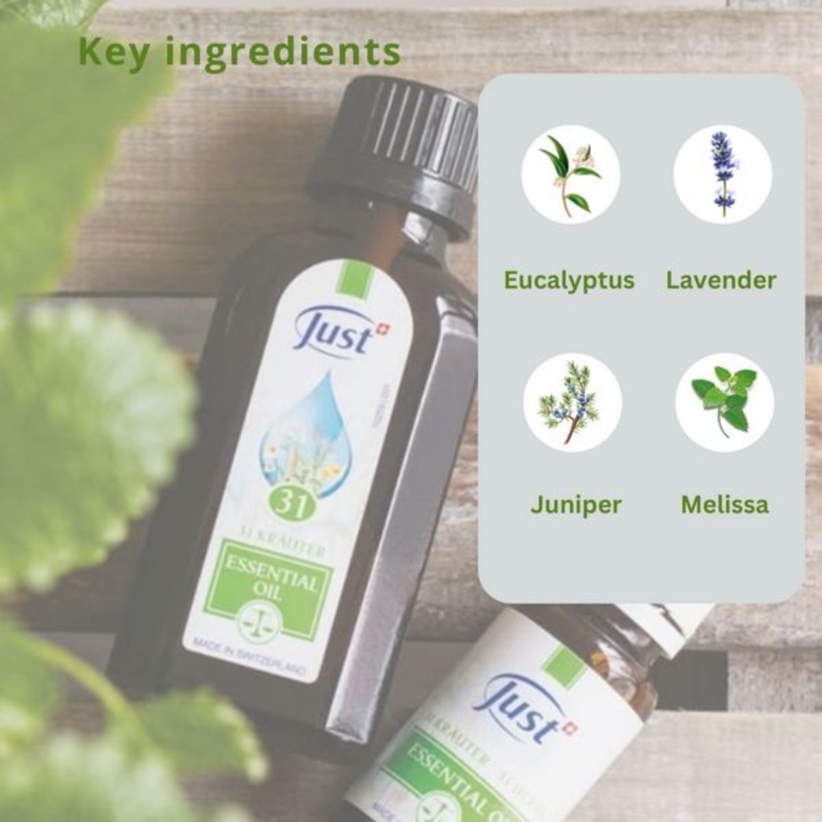 SWISS JUST Thyme+Juniper Cream+31 Essential Oil Anti Aging Therapy Body Massage