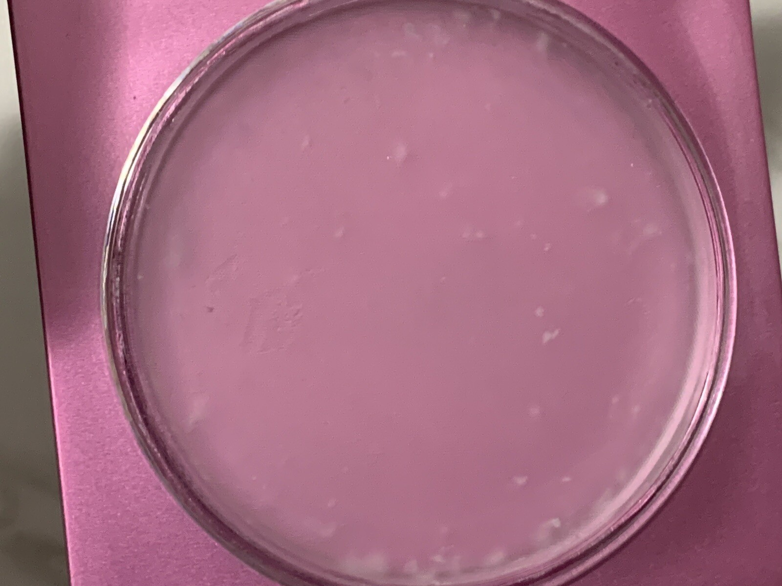 Mally Evercolor Poreless Face Defender Primer – Full Size Flawed READ (#ZH5)